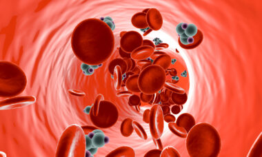 Illustration of red blood cells and glucose molecules moving through a vein